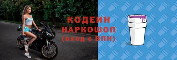 шишки Гусиноозёрск