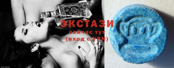 шишки Гусиноозёрск