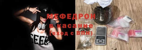 шишки Гусиноозёрск