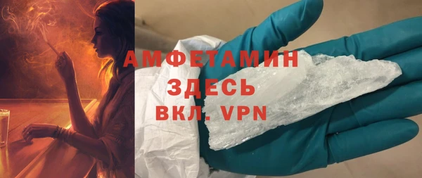 шишки Гусиноозёрск