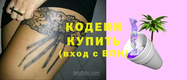 шишки Гусиноозёрск