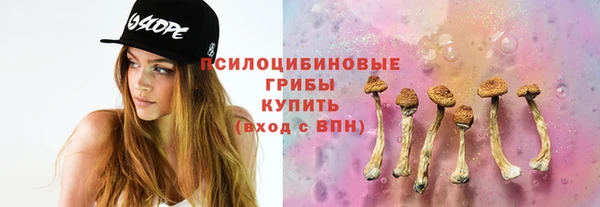 шишки Гусиноозёрск