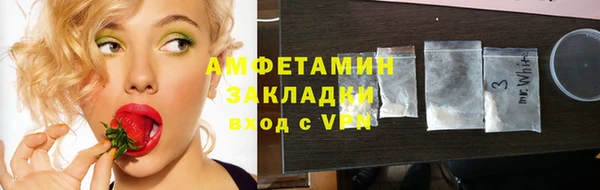 шишки Гусиноозёрск