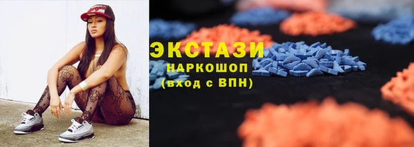 шишки Гусиноозёрск