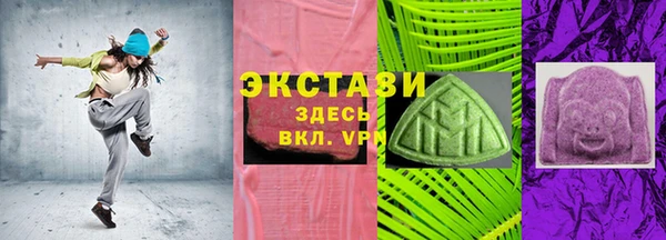 шишки Гусиноозёрск